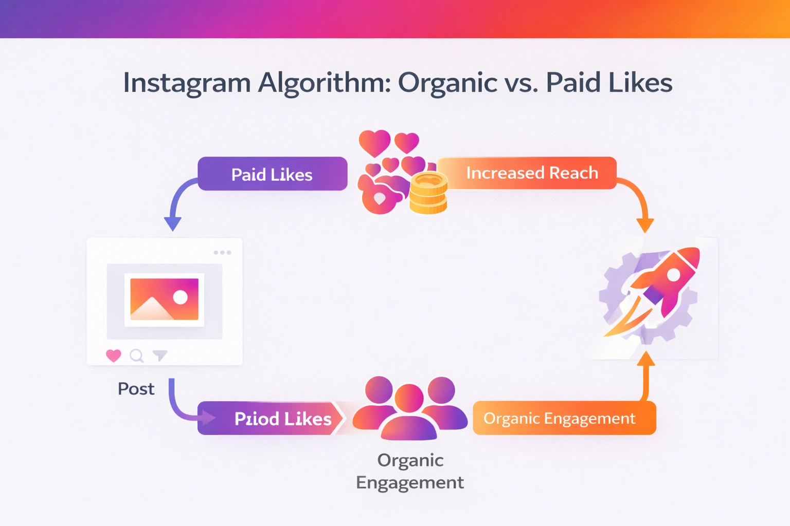 get likes on instagram organic vs paid strategy showing algorithm engagement loop